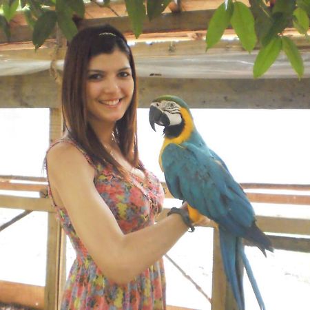 Amazon Rainforest Lodge Padre Cocha Εξωτερικό φωτογραφία
