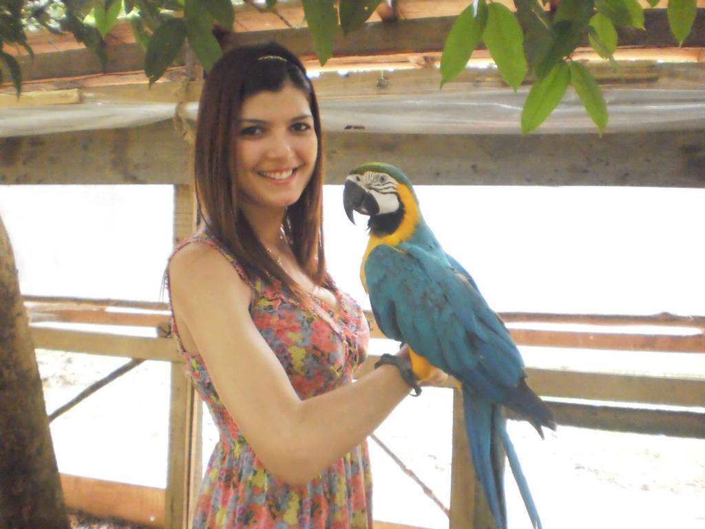 Amazon Rainforest Lodge Padre Cocha Εξωτερικό φωτογραφία